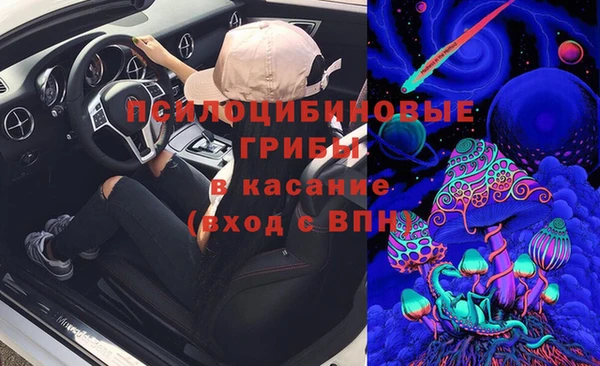 герыч Вяземский