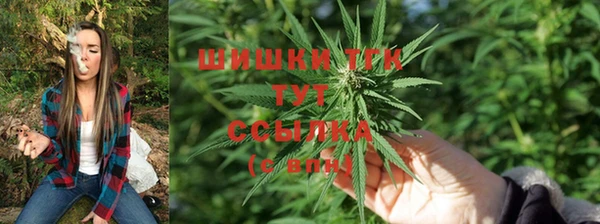 герыч Вяземский