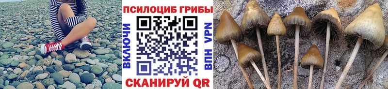 Псилоцибиновые грибы мицелий  Барнаул 